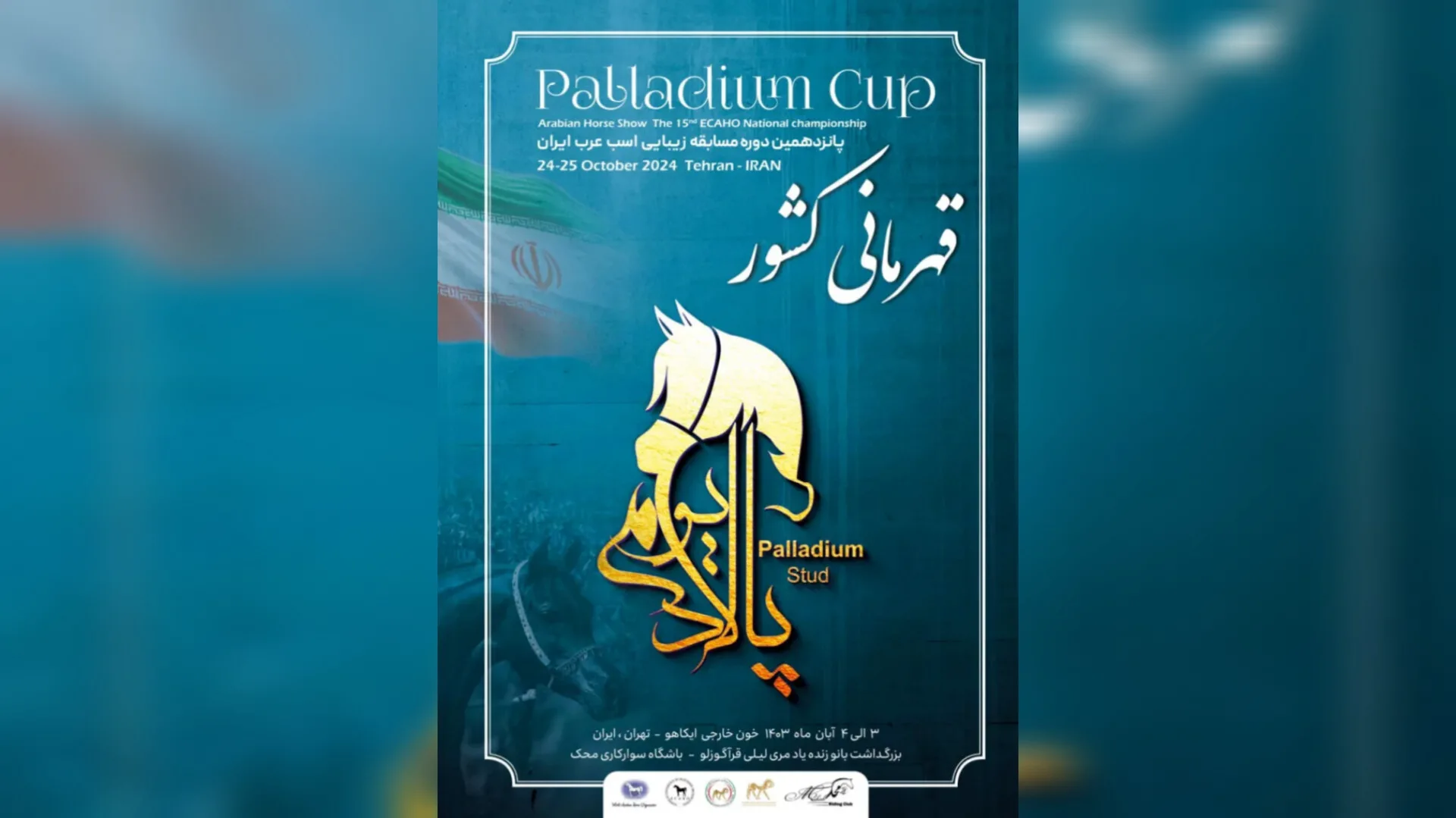 InShot_20241210_094043893