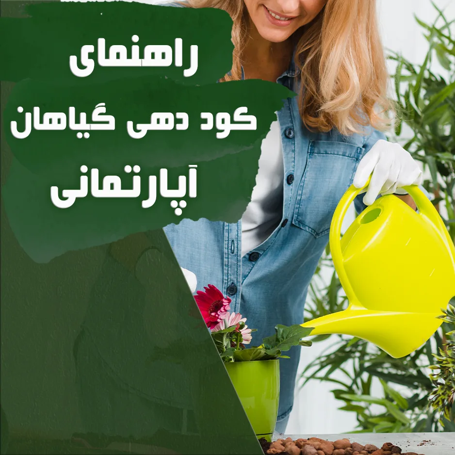 مبانی کوددهی گیاهان آپارتمانی
