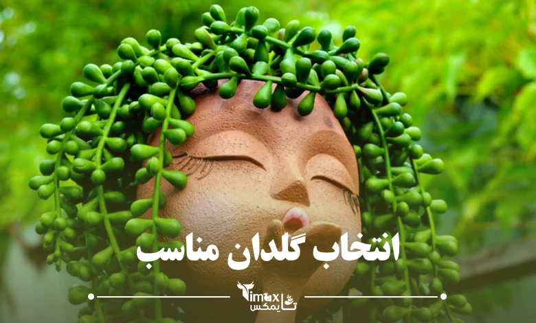 انتخاب گلدان مناسب