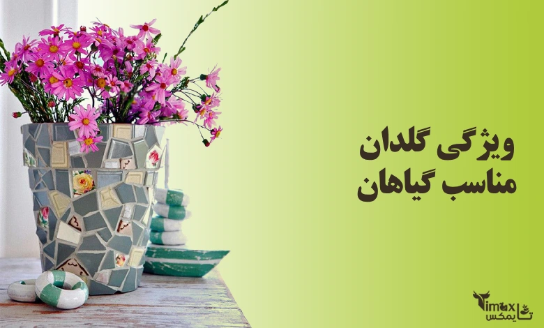 ویژگی گلدان مناسب گیاهان