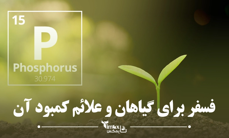 فسفر برای گیاهان