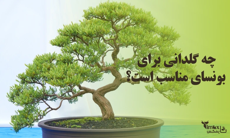 چه گلدانی برای بونسای مناسب است؟