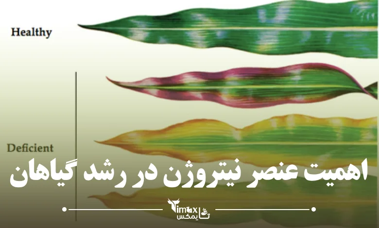 نقش عنصر نیتروژن در رشد گیاه