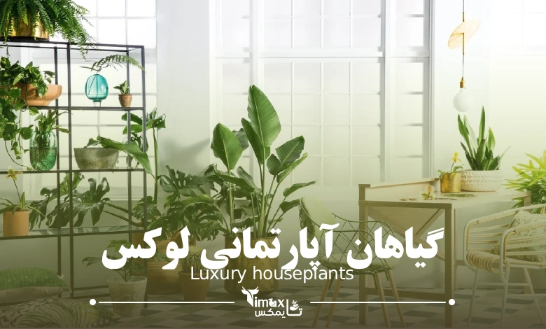 گیاهان آپارتمانی لوکس