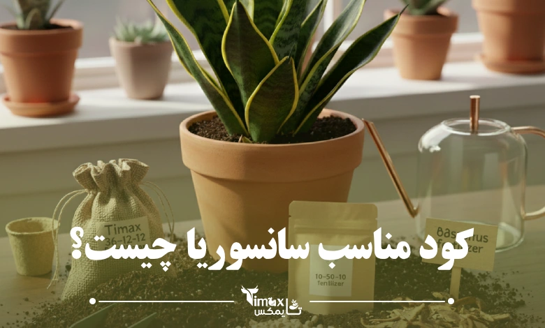 کود مناسب سانسوریا چیست؟