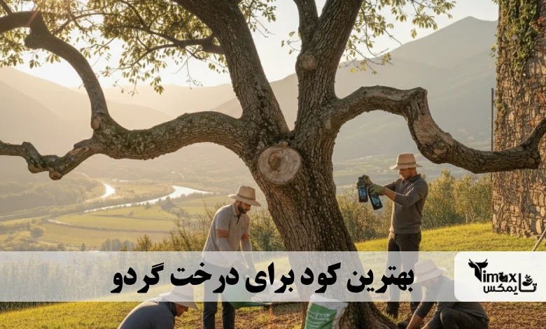 بهترین کود برای درخت گردو