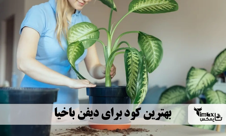 بهترین کود برای دیفن باخیا