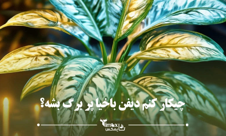 چیکار کنم دیفن باخیا پر برگ بشه؟