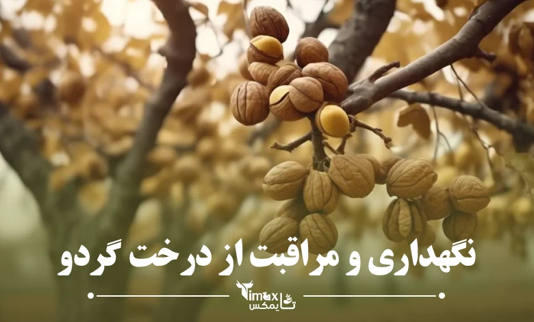 نگهداری و مراقبت از درخت گردو
