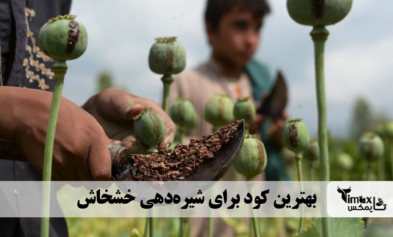 بهترین کود برای شیره‌دهی خشخاش