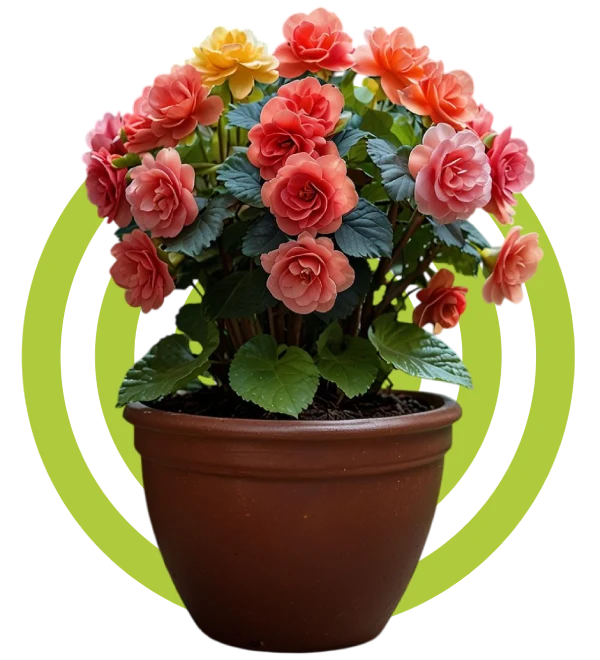 محصولات پرفروش گلیفای