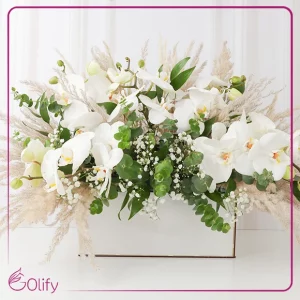 باکس گل ارکیده 15 شاخه - گلیفای