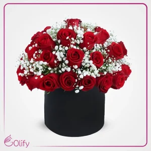 باکس گل رز قرمز 40 شاخه و ژیسوفیلا