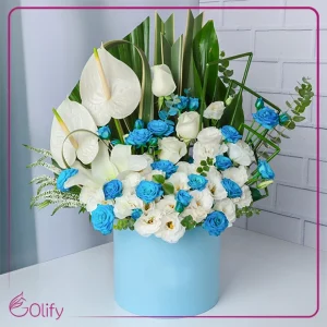 باکس گل آنتوریوم و رز سفید