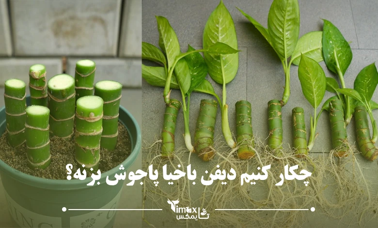 چکار کنیم دیفن باخیا پاجوش بزنه؟