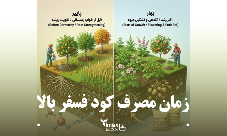 بهترین زمان مصرف کود فسفر