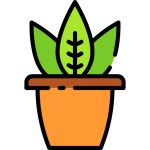 کود گیاهان آپارتمانی