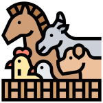 کنسانتره و مکمل دام و طیور گلیفای